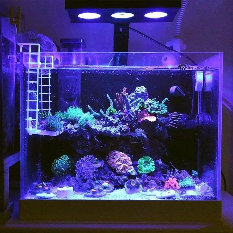 Spectra Nano 029 Led Aquarium  - Reef Lighting 评论和价格