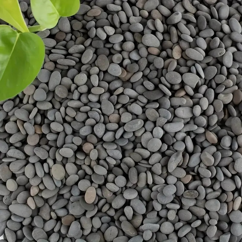 20Pcs Natural River Rocks Smoo - Marine Fish Tank 评论和价格