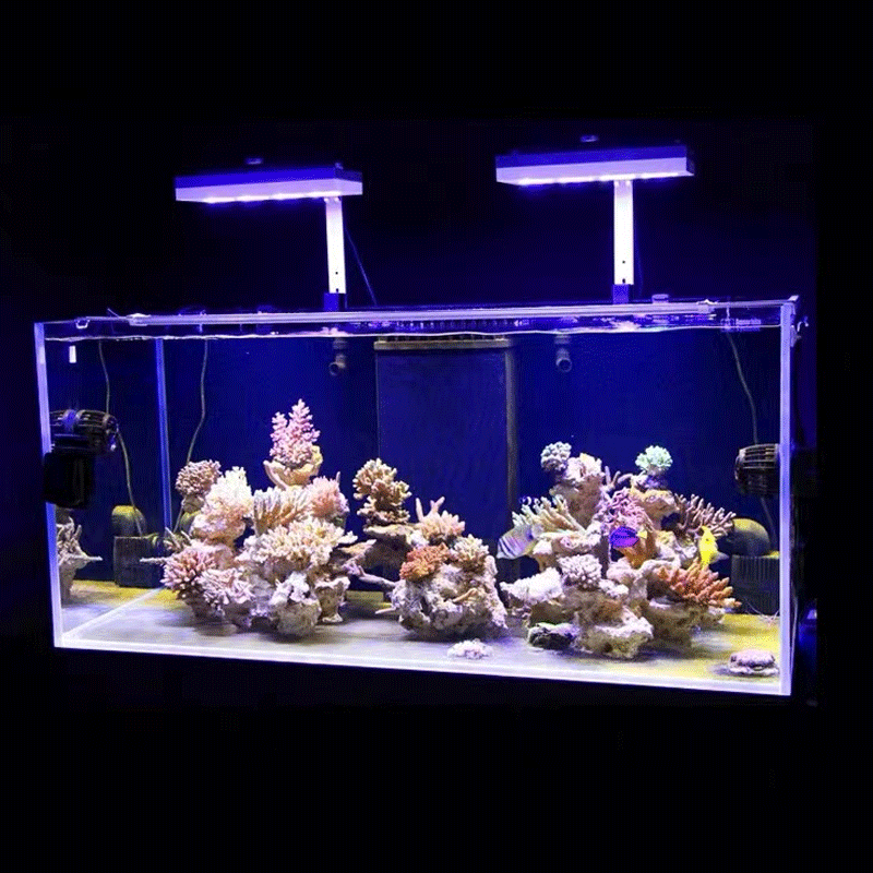 Aqua Illumination AI Hydra 32H - Marine Coral 评论和价格