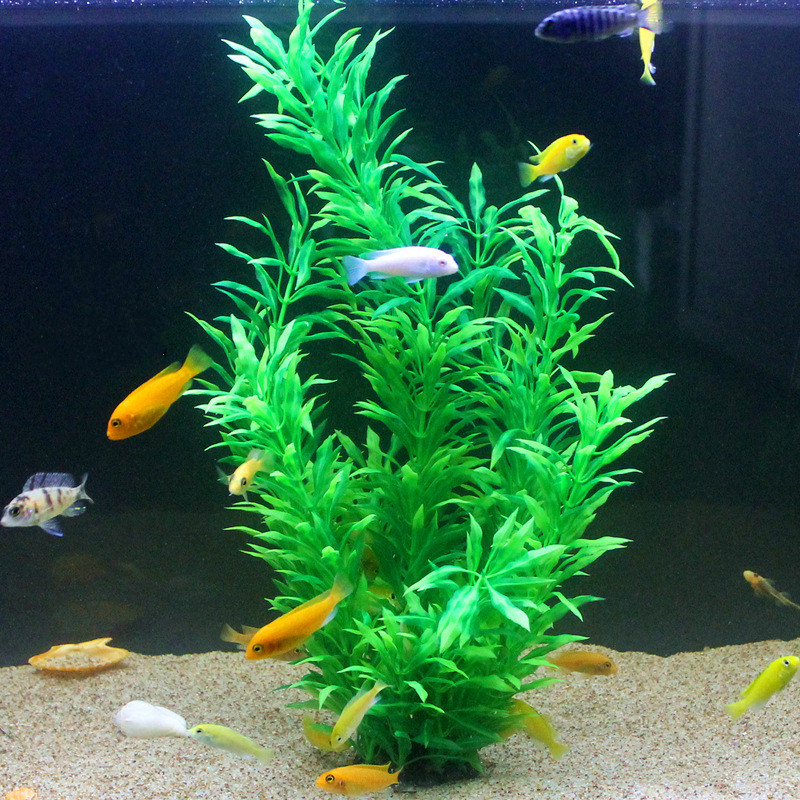 50CM Artificial Fish Tank Rare - Ocean Aquarium 评论和价格